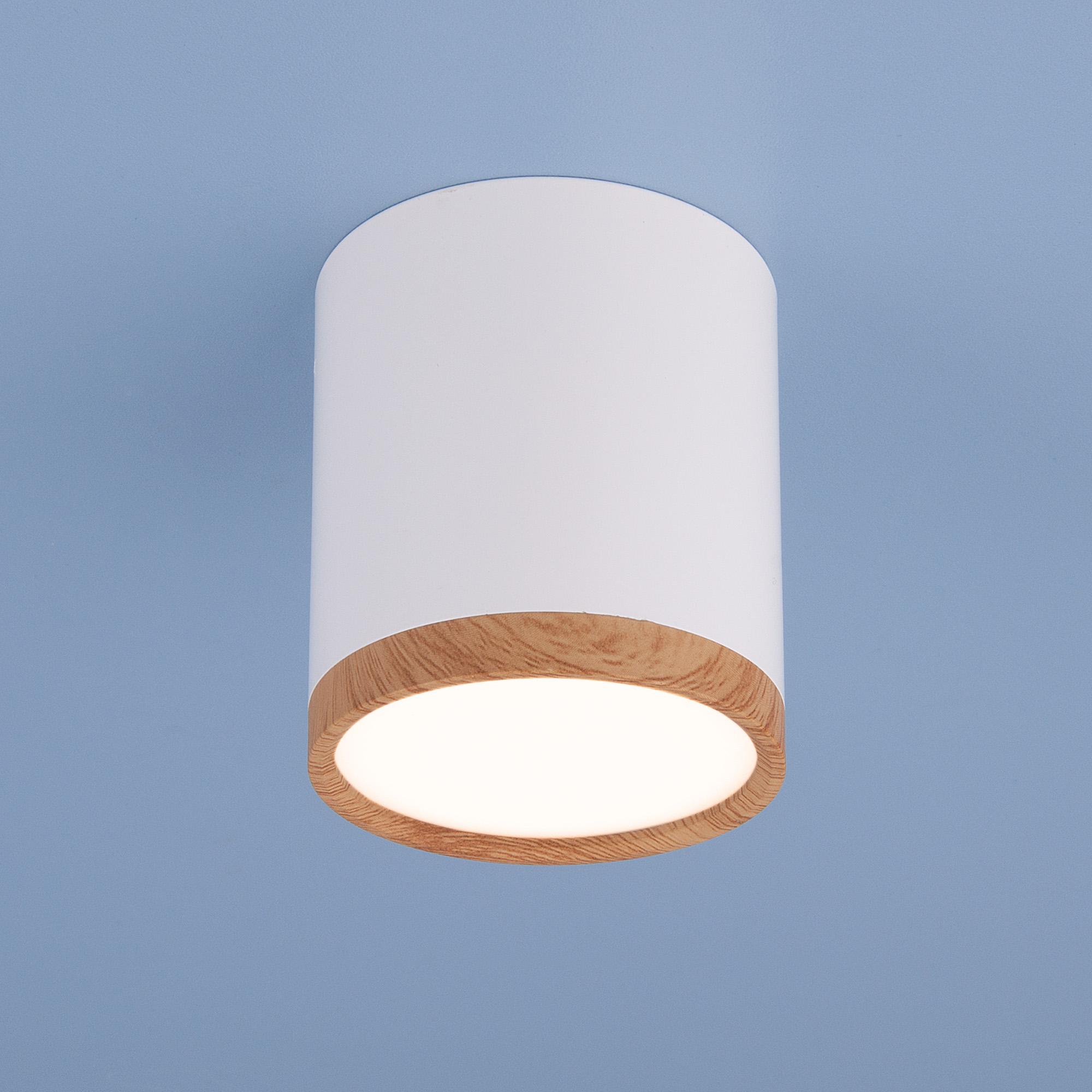 Накладной потолочный  светодиодный светильник  ElektrostandardDLR024 6W 4200K белый матовый/светлый