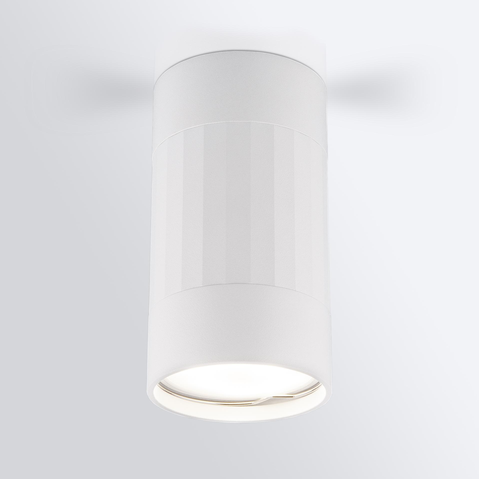 Накладной потолочный светильник Elektrostandard DLN111 GU10