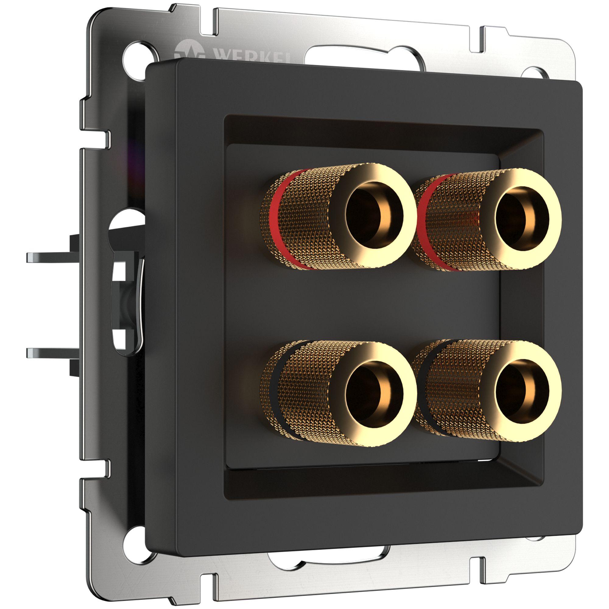 Акустическая розетка черный матовый Werkel W1185008