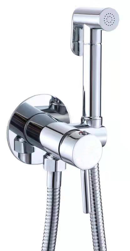 Гигиенический душ встраиваемый Rush Capri CA1435-98