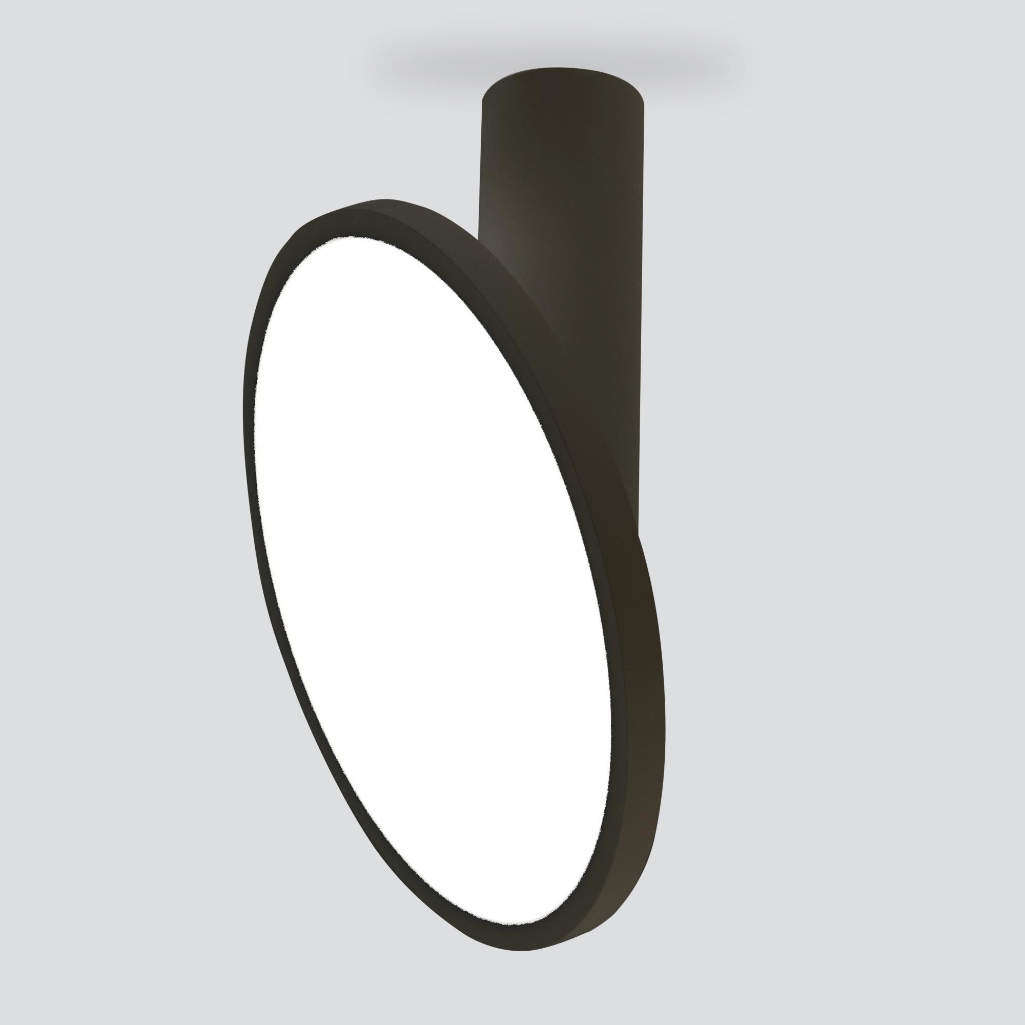 Накладной потолочный светодиодный светильник Elektrostandard DLS029 a047772