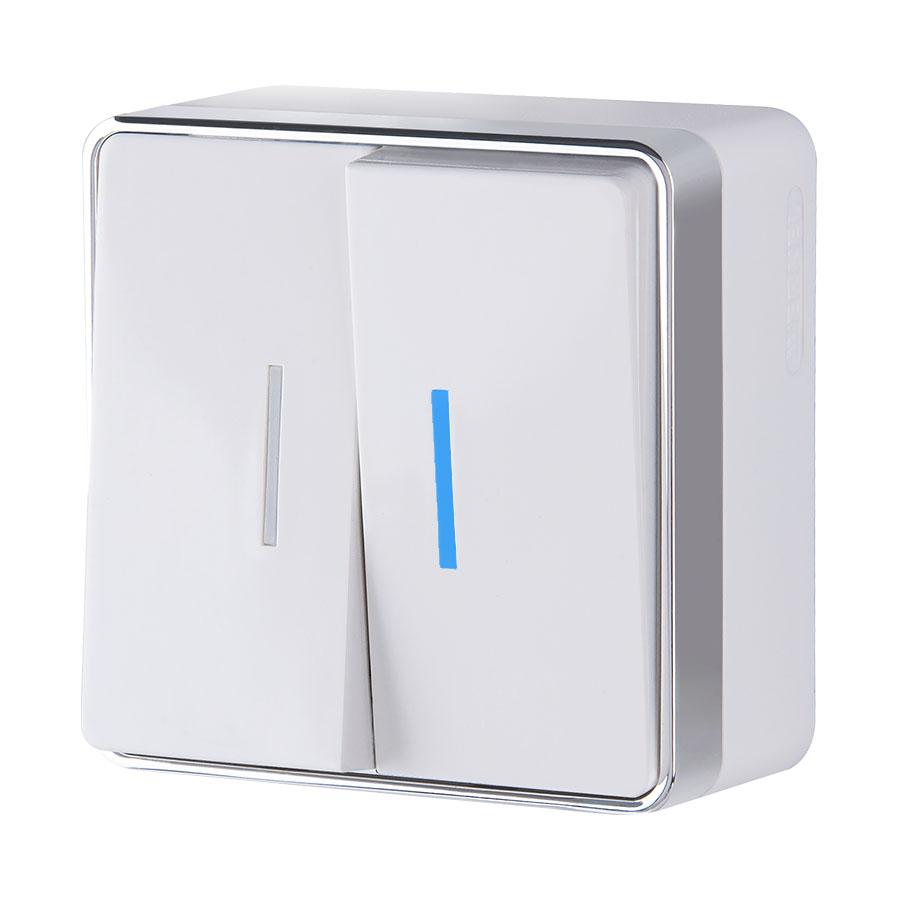 Выключатель двухклавишный с подсветкой Gallant белый Werkel W5020101