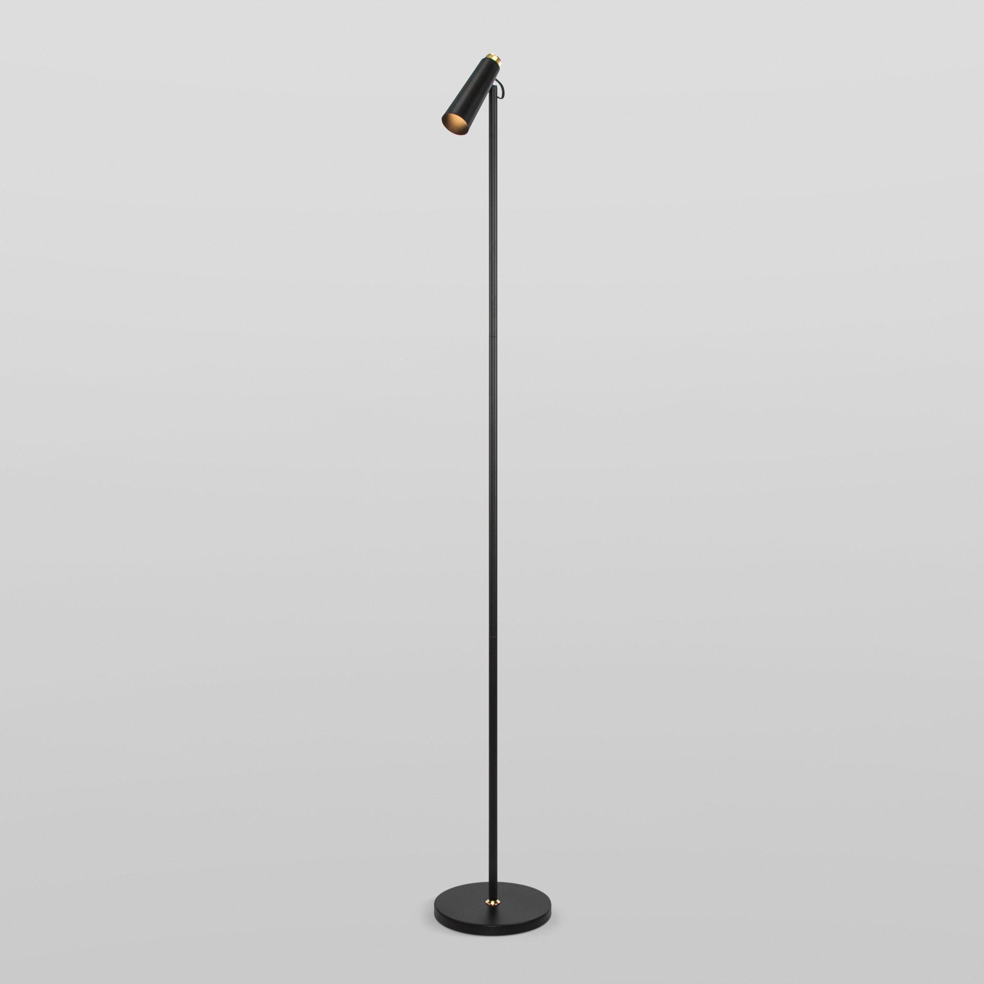 Напольный светильник Eurosvet 80430/1 черный/золото