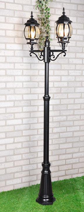 Уличный двухрожковый светильник на столбе ElektrostandardIP33 NLG99HL004 черный