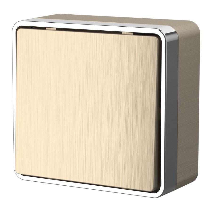 Выключатель одноклавишный Gallant шампань рифленый Werkel W5010010