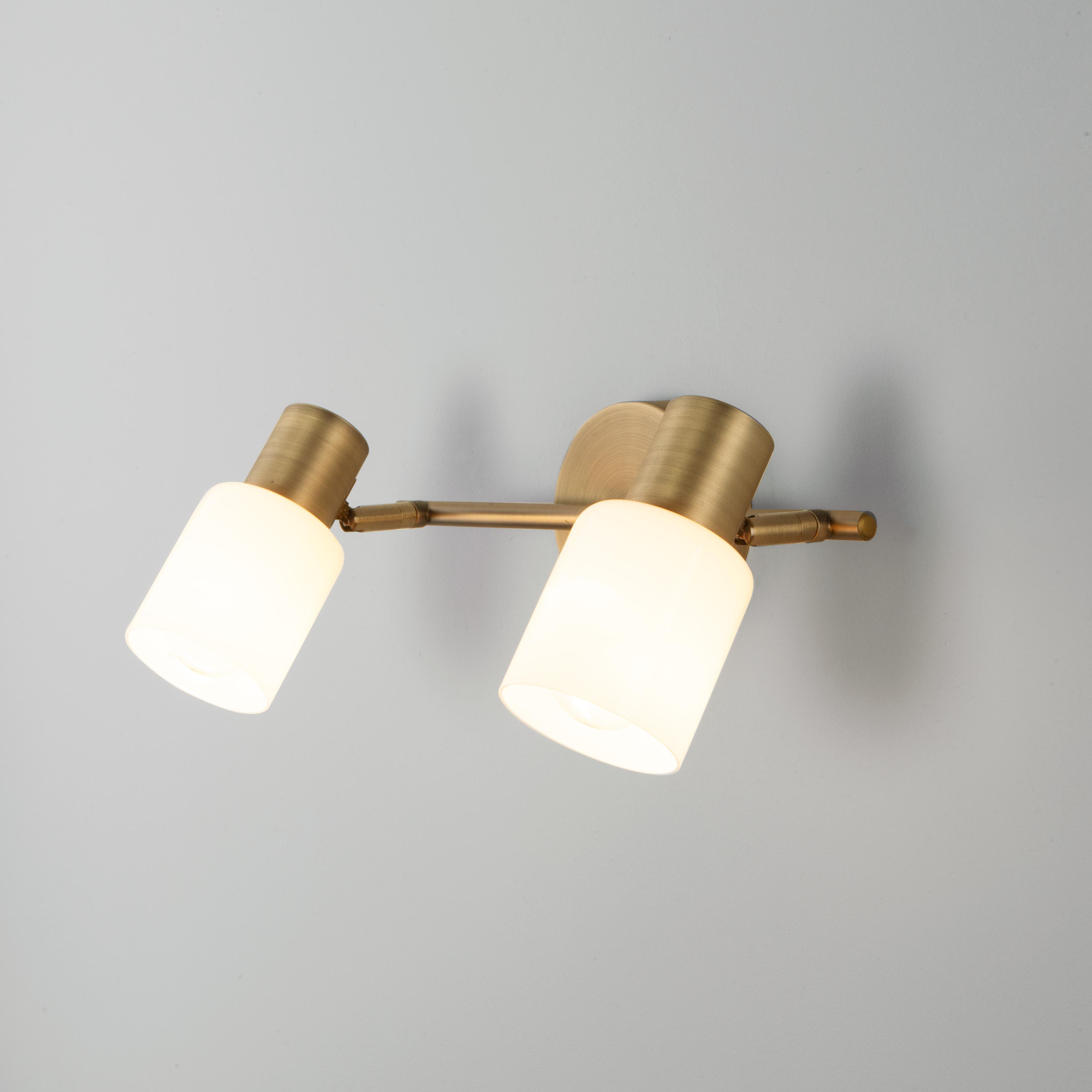 Настенный светильник с плафонами Eurosvet 20089/2 бронза