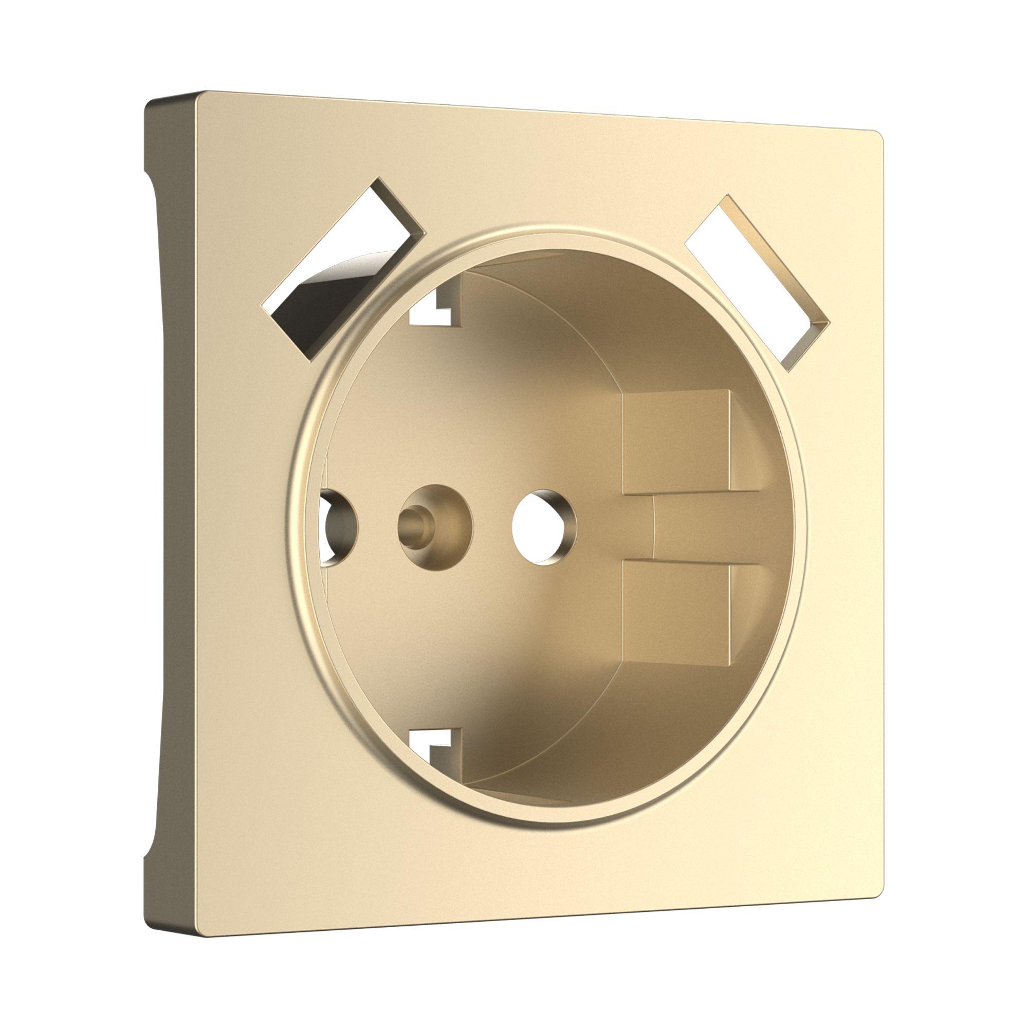 Накладка для USB розетки шампань Werkel W1179511