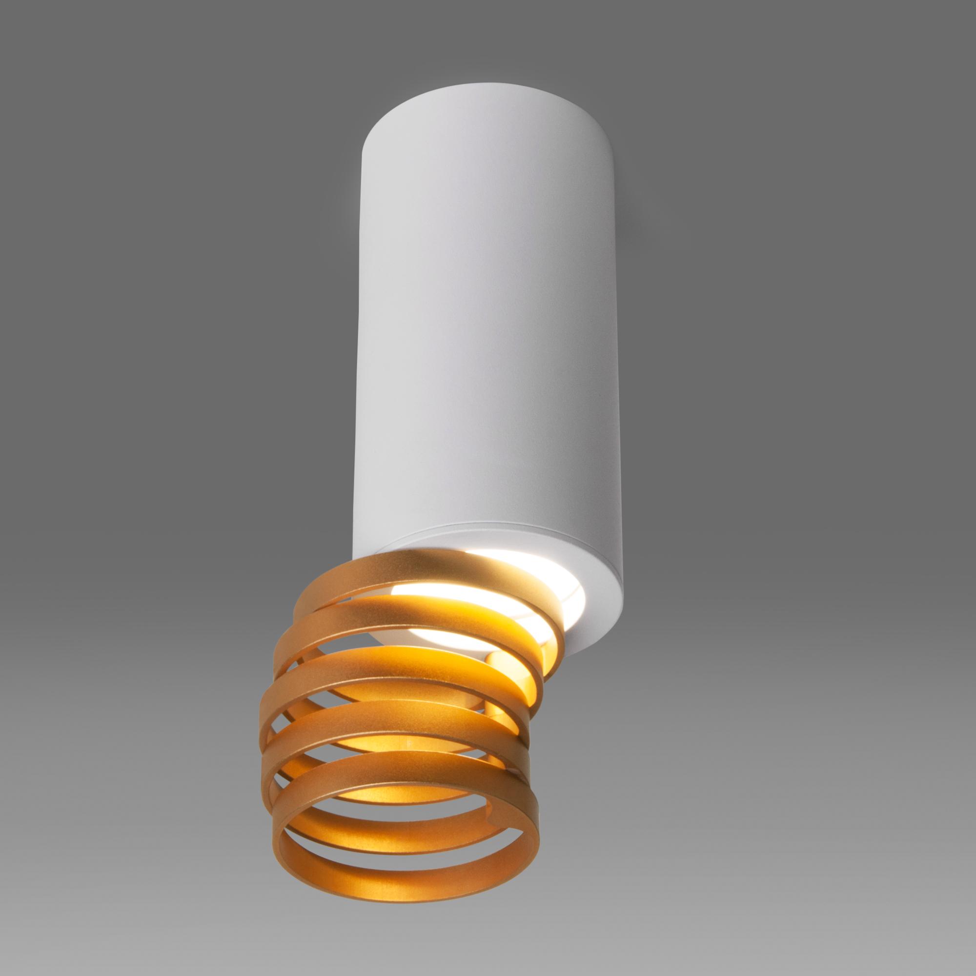Накладной потолочный светильник Elektrostandard DLN102 GU10 a047748