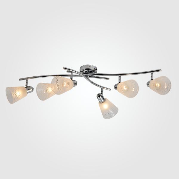 Потолочный светильник с плафонами Eurosvet 20053/6 хром