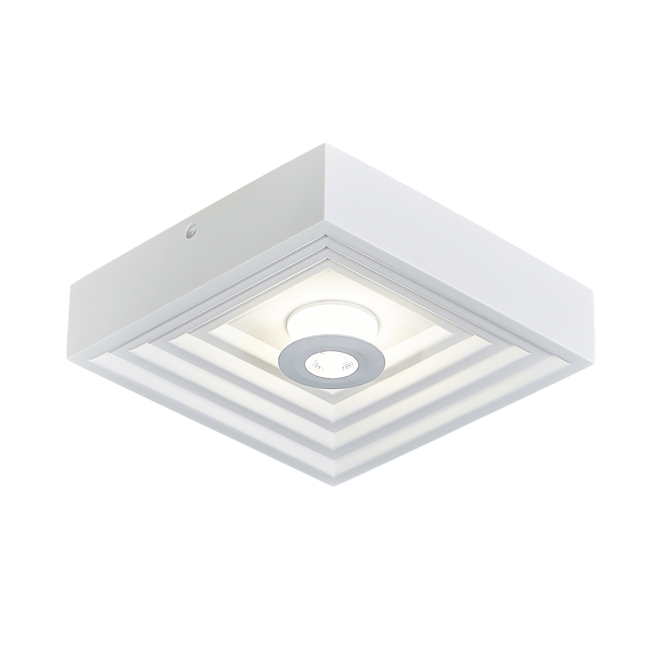Настенно-потолочный свет Escada Gesso 10218/SG LED