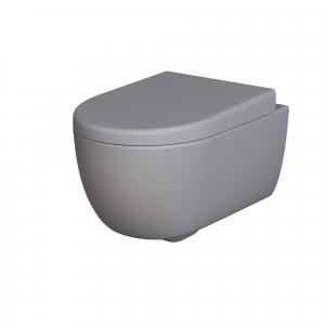 Унитаз подвесной безободковый Ambassador Abner 103T20301R (54.5х36х33) серый, 1 место