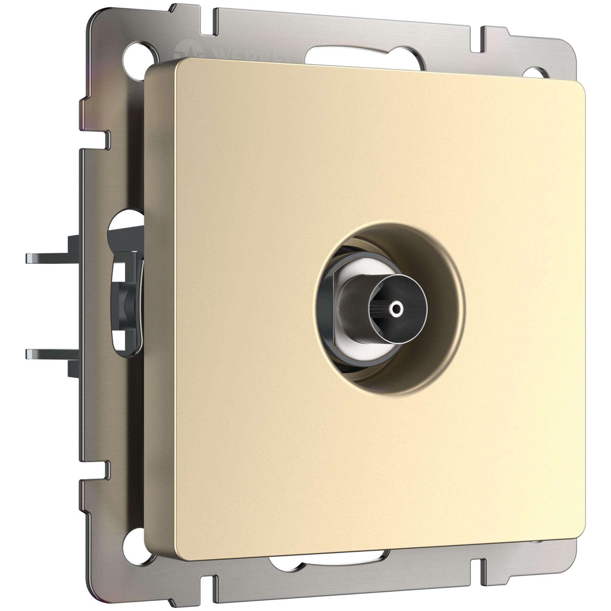 ТВ-розетка оконечная шампань Werkel W1183011