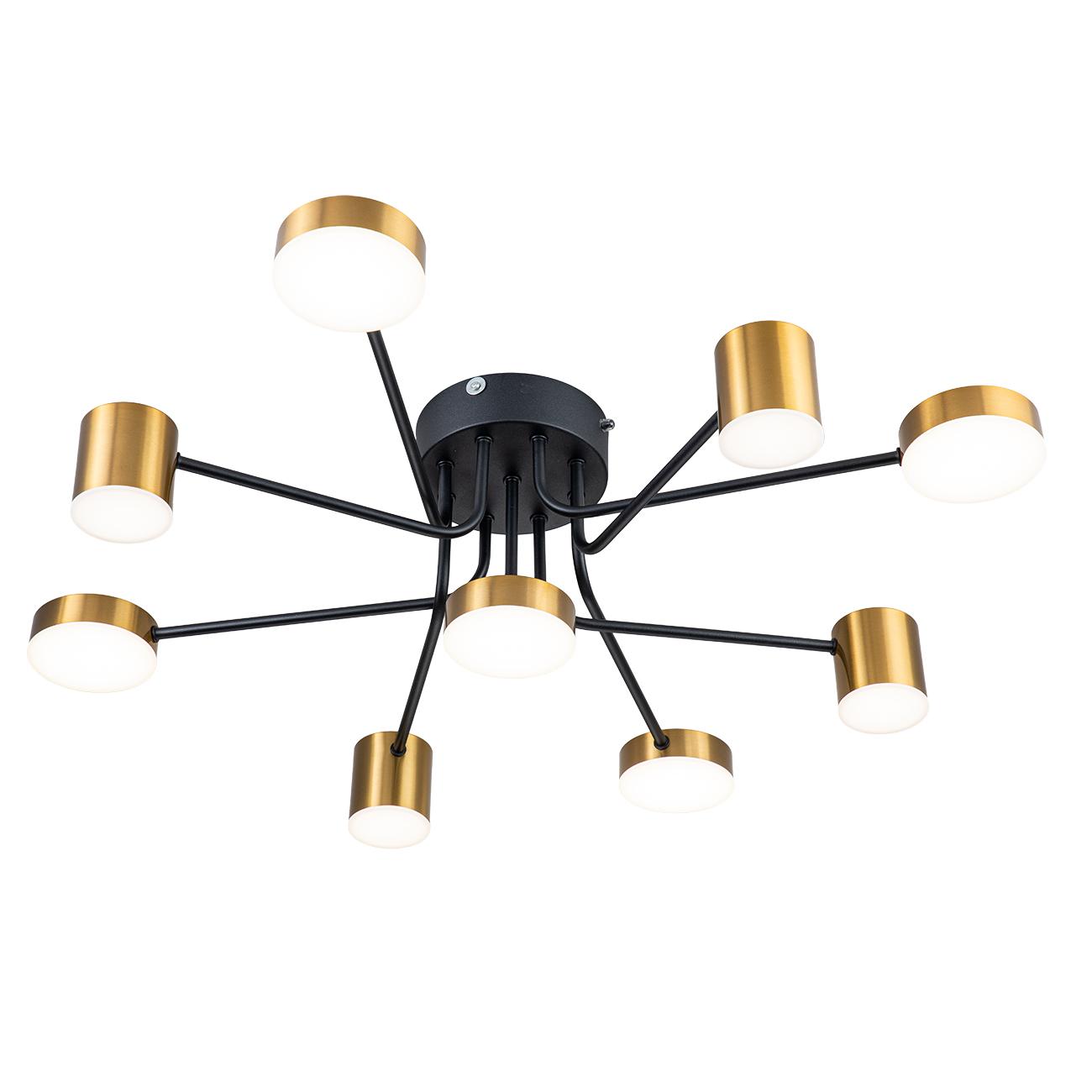 Потолочный светильник Escada Ogma 10235/9LED