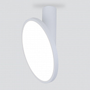 Накладной потолочный светодиодный светильник Elektrostandard DLS029 a047771