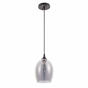 Светильник подвесной Arte Lamp Propus A4344SP-1BK