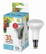 Лампа светодиодная ASD LED R50 5W 4000K E14