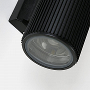 Уличный светильник Favourite Pola 2858-2W