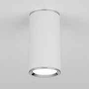 Накладной потолочный светильник Elektrostandard DLN101 GU10 WH белый
