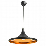 Светильник подвесной Arte Lamp Cappello A3406SP-1BK