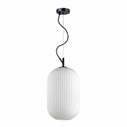 Подвес Odeon Light Pendant Roofi 4752/1