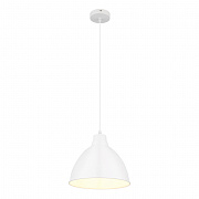 Светильник подвесной Arte Lamp Braccio A2055SP-1WH