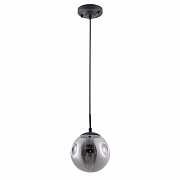 Светильник подвесной Arte Lamp Tureis A9915SP-1BK