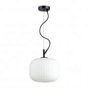 Подвес Odeon Light Pendant Roofi 4753/1