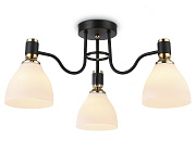 Потолочный светильник Ambrella Light Traditional Modern TR303303